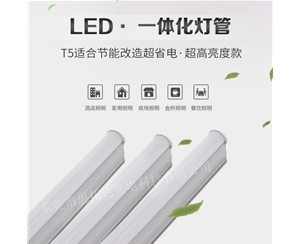 LED T5一体化灯管(0.9米12W)